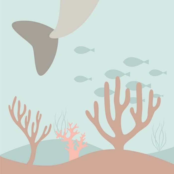 Muursticker Behangbaan Dolfijn - Afbeelding 4