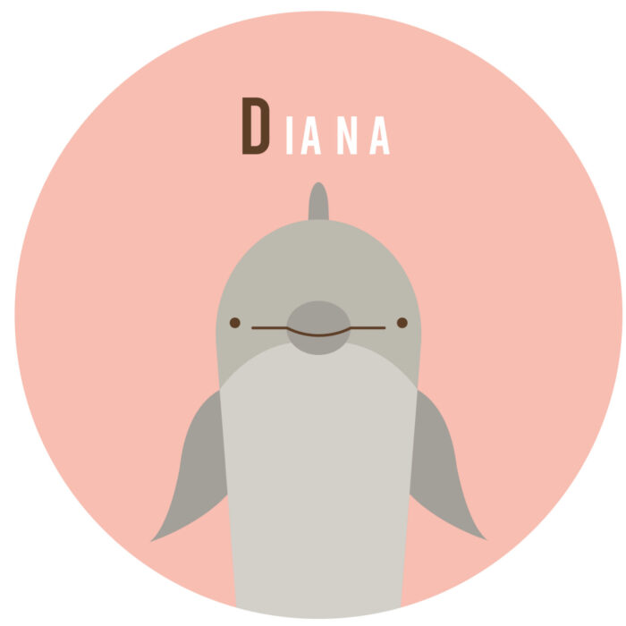 muursticker-dolfijn Behangcirkel Dolfijn | eigen naam | Ø 40 tot 140 cm - Afbeelding 1