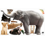 Muurstickerset Safari Set Olifant XL