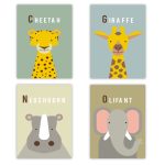Posterset Afrikaanse Dieren | deel 2