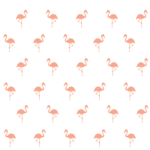 flamingos-muurstickers