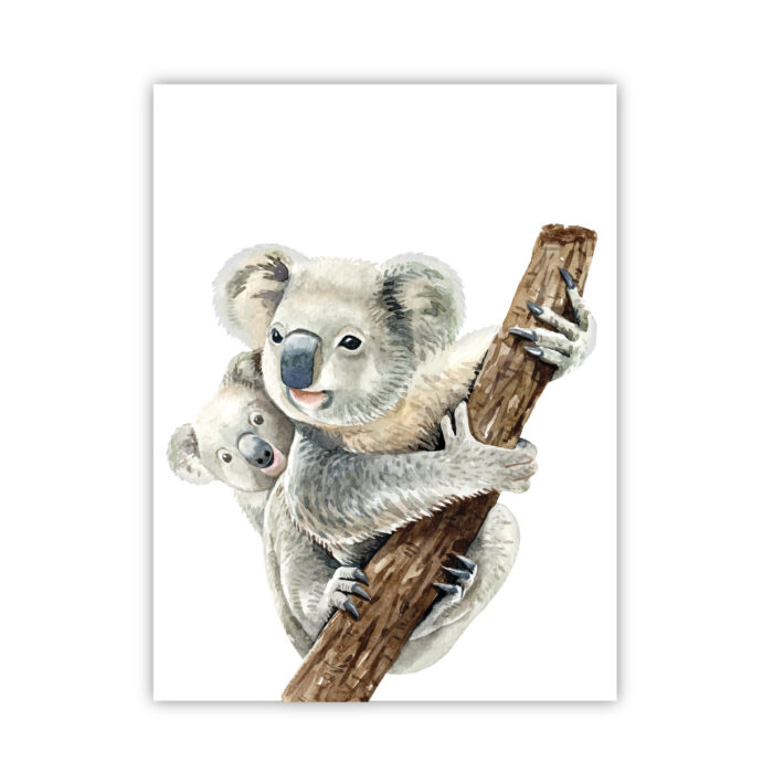 poster-koala-baby