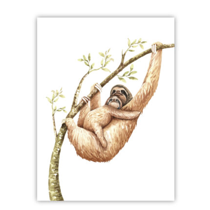 poster-luiaard-baby