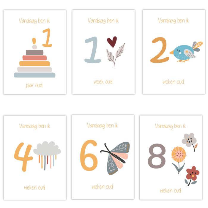 Mijlpaalkaarten | uni - Afbeelding 3