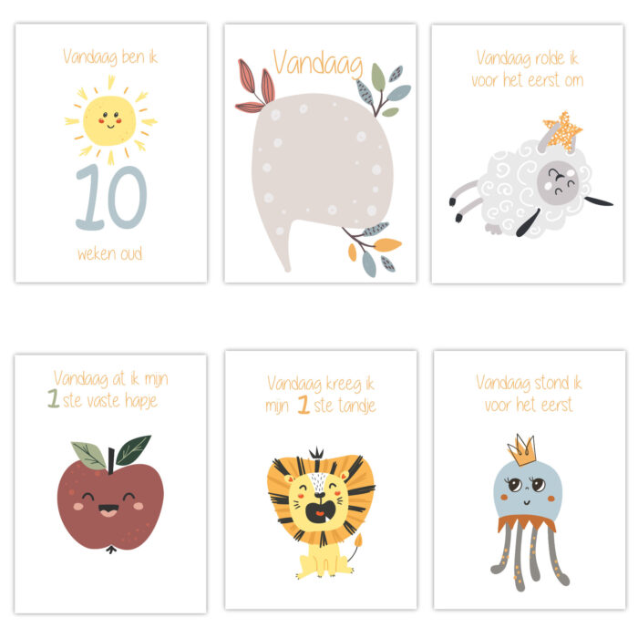 Mijlpaalkaarten | uni - Afbeelding 2