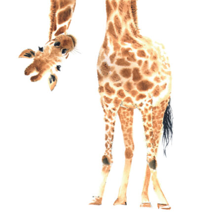 muursticker-giraffe-xxl
