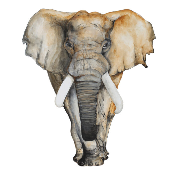 muursticker-olifant-jungle