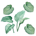 muurstickerset-botanische-bladeren