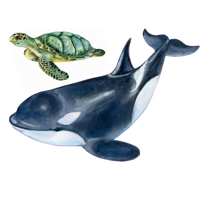 muursticker-orka-schildpad