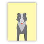 poster-border-collie