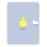 poster-kuiken-boerderij