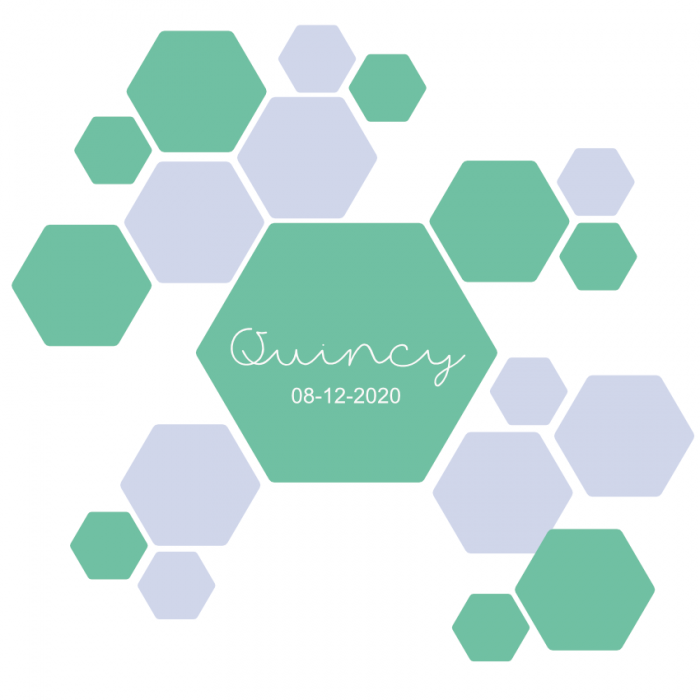 hexagon-naam-muursticker zeshoek-metnhexagon-naam-muurstickeraam-muursticker-kidzstijl-txt024