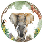 jungledieren-studionien