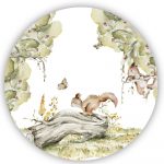 muurcirkel-boswandeling-eekhoorns