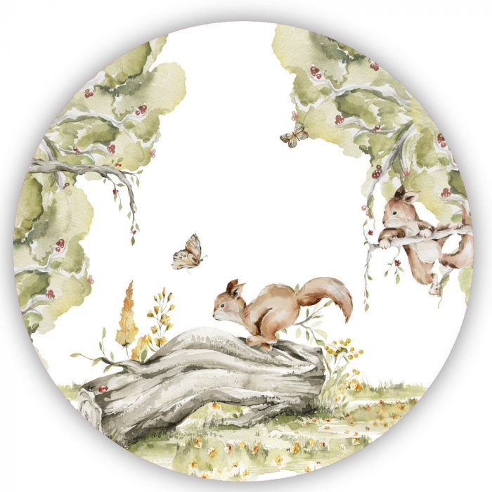 muurcirkel-boswandeling-eekhoorns