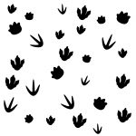 muurstickers-dino-voetafdrukken