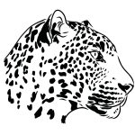 muursticker-cheetah