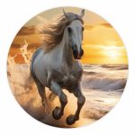 Muurcirkel Paard aan Zee | Ø 40 tot 140 cm