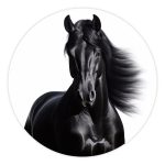 Muurcirkel Friese paard | Ø 40 tot 140 cm