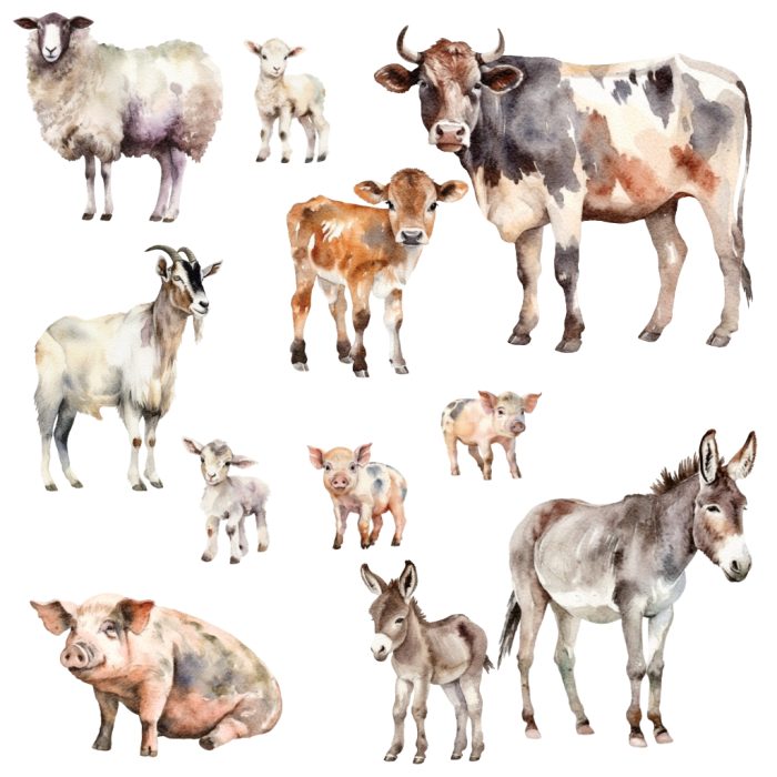 muurstickers-boerderijdieren Muurstickers Boerderijdieren - Afbeelding 1