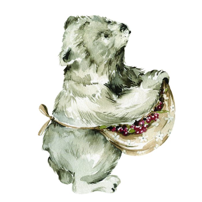 Muursticker Boswandeling | Beer (5 afmetingen) - Afbeelding 1