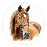 Muurcirkel Bruin Paard | Ø 40 tot 140 cm