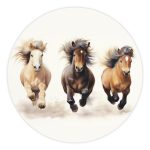 Muurcirkel Mini Paarden | Ø 40 tot 140 cm