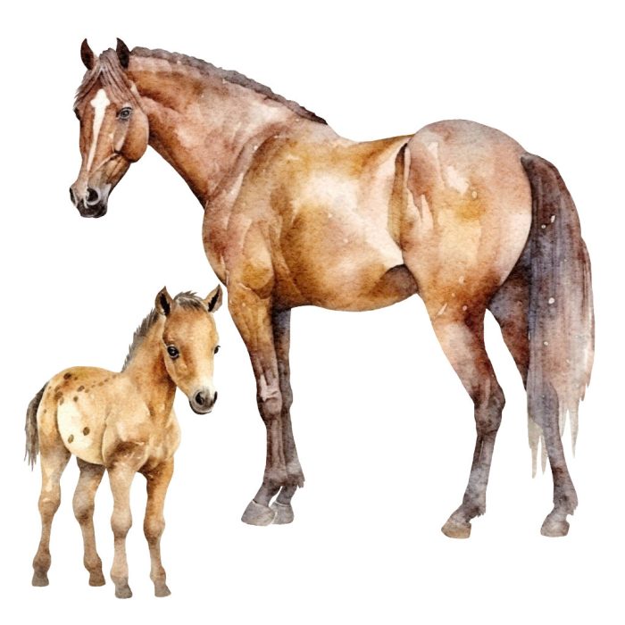 muurstickers-paard-veulen Muursticker Paard en Veulen - Afbeelding 1
