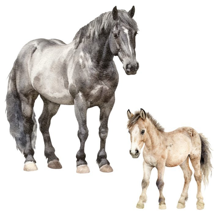 muursticker-zwart-paard-veulen Muursticker Zwart Paard en Veulen - Afbeelding 1