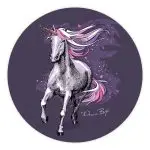 muurcirkel-eenhoorn-dreams