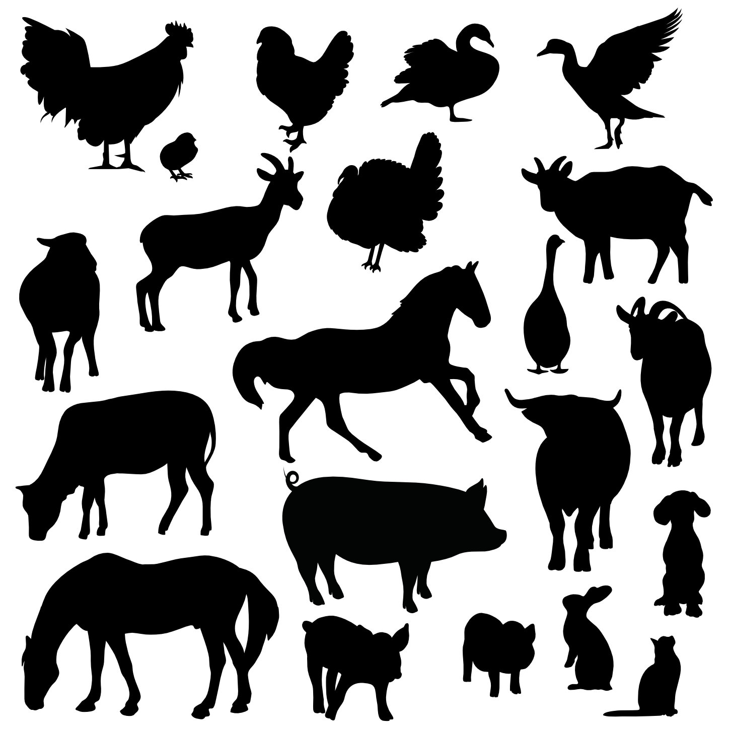 muursticker_boerderijdieren Muurstickers Boerderijdieren - Afbeelding 1